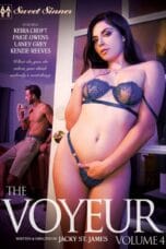 The Voyeur 4 2020 HD porn movie online