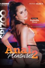 Anal Pleasures 2 HD porn movie online