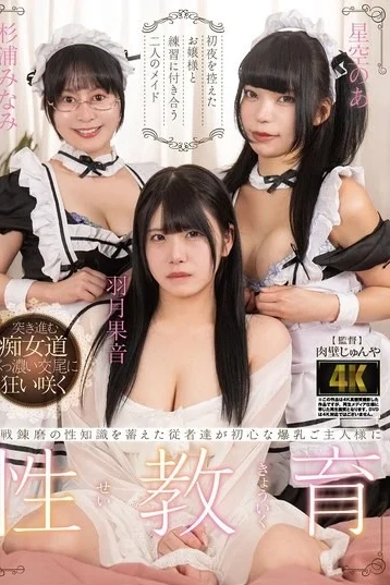 BAGR-089 Two Maids Accompany A Young Lady On Her Wedding Night, Helping Her Practice.